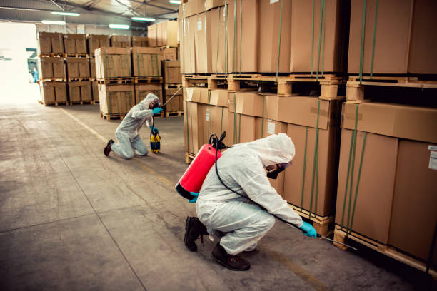 Best Cockroach Control Services  in Bellaire, OH