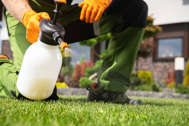 Bird Control in Bellaire, OH