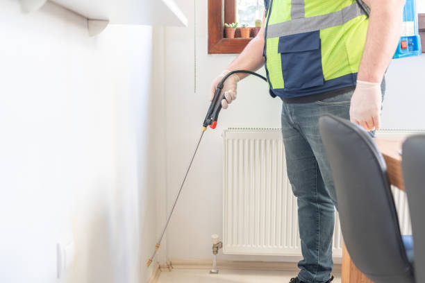 Best Rat Extermination Near Me  in Bellaire, OH