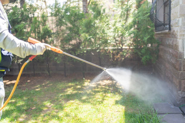 Best Bird Control  in Bellaire, OH