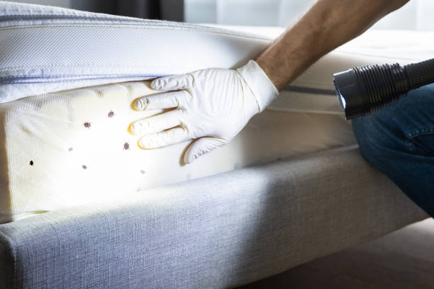 Best Commercial Pest Control Services  in Bellaire, OH