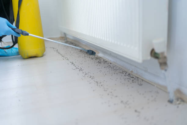 Pest Control for Restaurants in Bellaire, OH